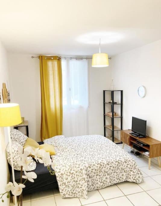 Studio A 5 Mn A Pied De La Gare Saint-Roch Монпелие Екстериор снимка